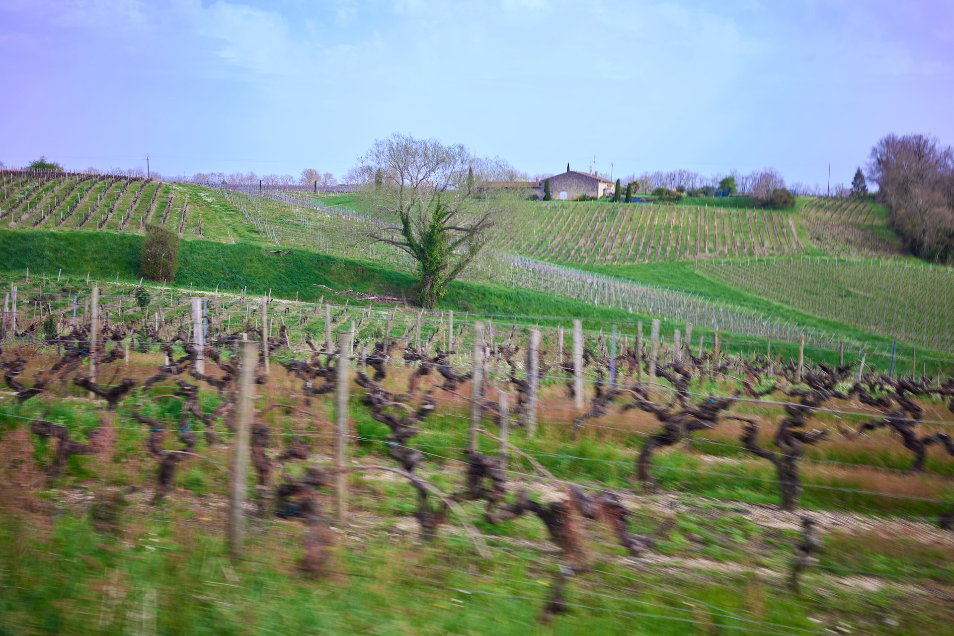 Loupiac